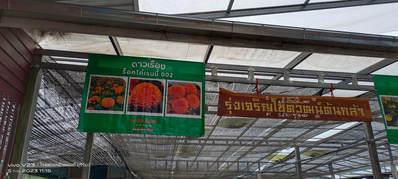 Photograph of ค่ายมวยหนองกี่พาหุยุทธ