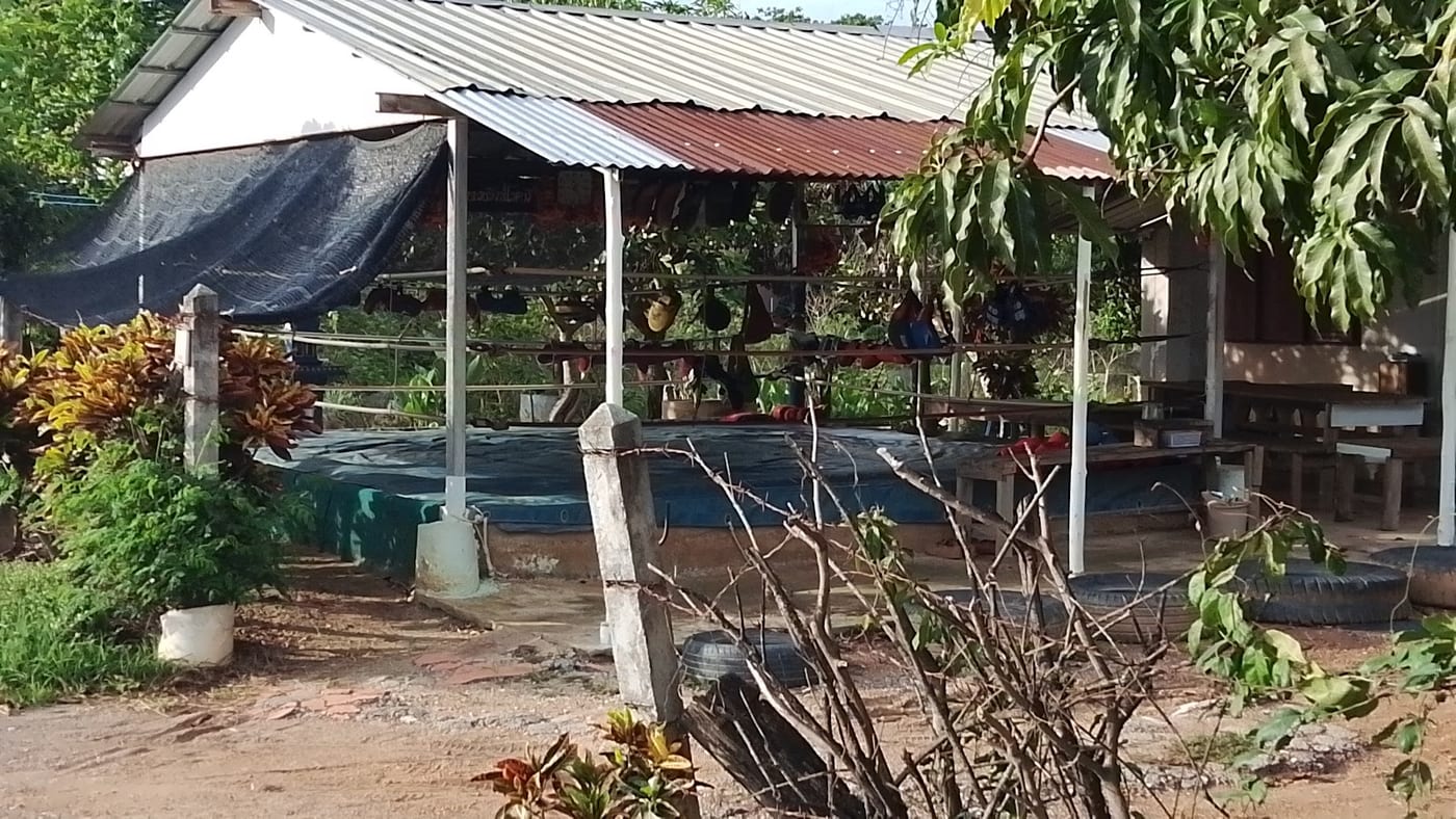 Photograph of ค่ายมวยสิงห์โรตารี่